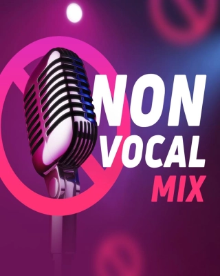 Non Vocal Mix 02.2025 EN